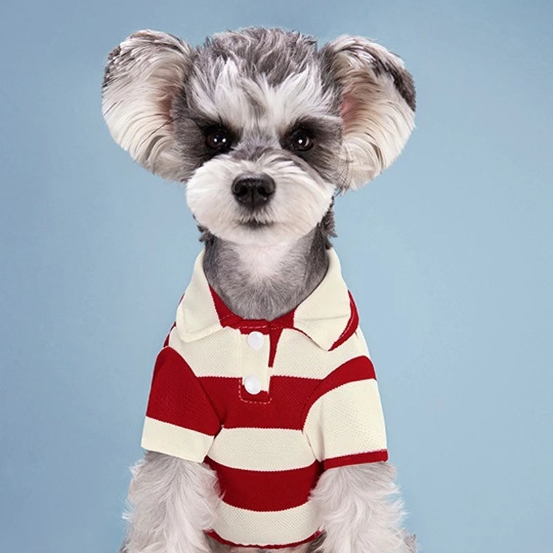 Pet Dog Polo Shirt Summer Dog Clothes Casual Clothing for Small Large Dogs Cats T-Shirt Chihuahua Pug Costumes Yorkshire Shirts
