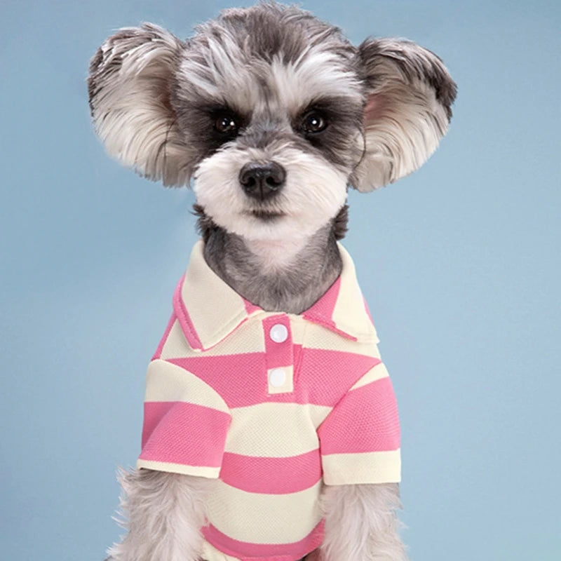 Pet Dog Polo Shirt Summer Dog Clothes Casual Clothing for Small Large Dogs Cats T-Shirt Chihuahua Pug Costumes Yorkshire Shirts
